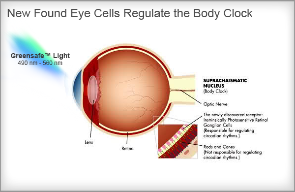 Light Therapy Eye Chart